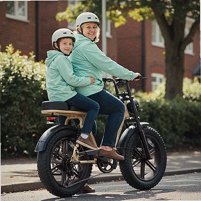 1500W Electric Bike 20" Fat Tire15AH Removable Battary 32MPH Mountain E-Bike US