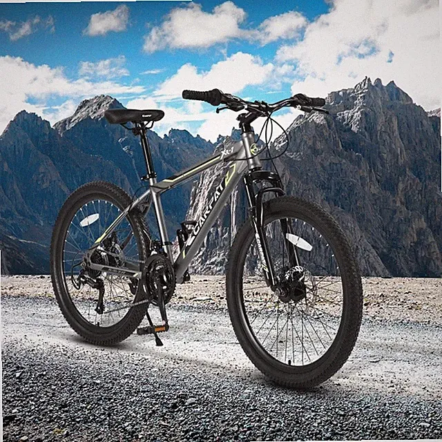 24 Inch Mountain Bike, Steel Frame, Shimano 21 Speeds