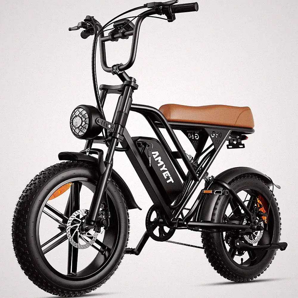 AMYET G60 1500W 48V 20AH Electric Bike 20" Fat Tire Ebike E-Bicycle City Bicycle