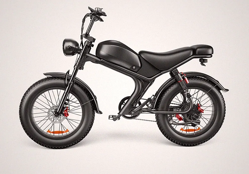 C93 Single Drive 20 Inch, High Speed Electric Bike- It Is Forbidden To Sell The