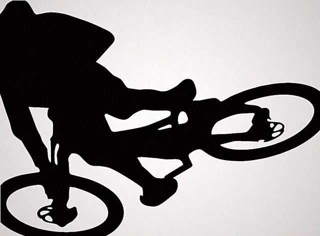 Motowhip Decal Sticker for DH downhill Mountain Bike MTB Freeride DJ