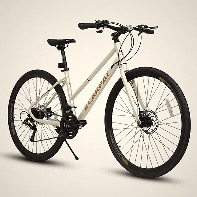 Road Riding Bike with Aluminum Alloy Wheels Disc Brakes 21-Speed Gear System New