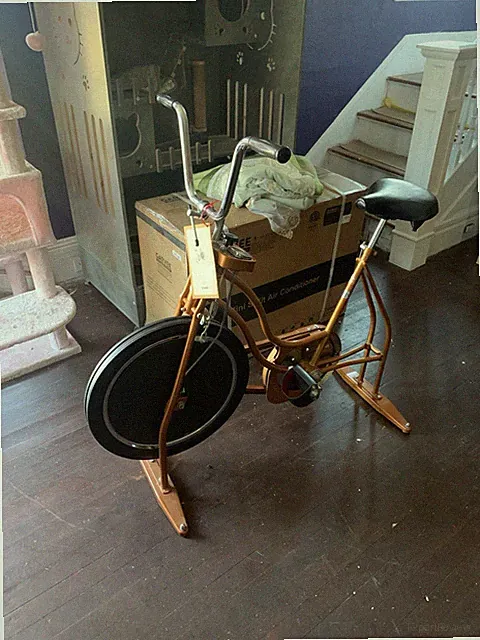 Schwinn Exerciser 204 Upright Bike Brown Adjustable Seat Speedometer Vintage