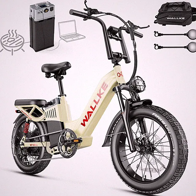 Wallke Adult Electric Bike 48V 55Ah 37MPH Solar Power Hub Battery Torque Sensor